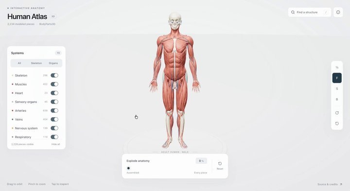 Interactive 3D Anatomy Website with GPT-6 Astra