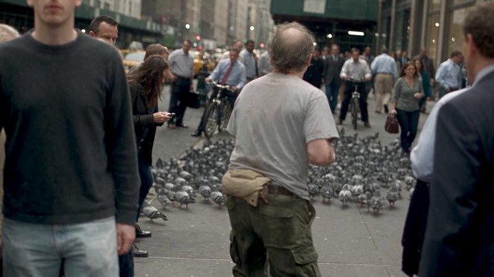 Pigeon Heist: A True Story Retold with AI